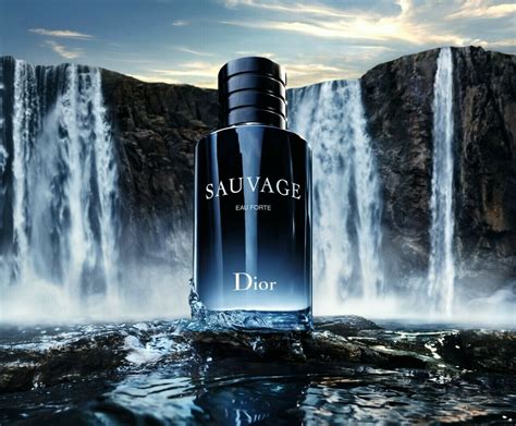 dior 4 düfte|sauvage dior eau forte.